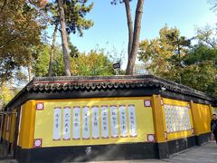 -枫桥景区