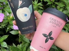 -茉莉奶白(广州动漫星城店)