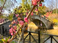 -南汇桃花村