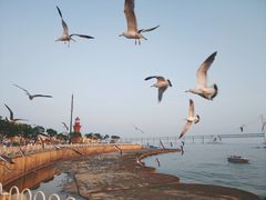 -星海广场