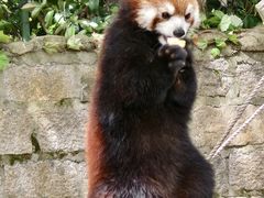 -上海野生动物园