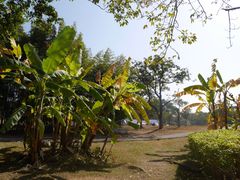 -福建鲤鱼洲酒店