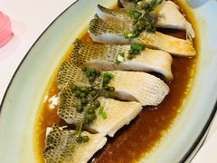 椒汁蒸鲈鱼-禧宴Joyous Restaurant(禧园店)