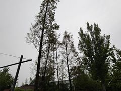 -思念果岭悦温泉