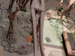 -陕西自然博物馆