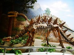 -延庆地质公园博物馆