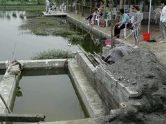 -同銮特种养殖场·龙虾垂钓