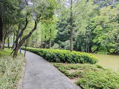 -顺峰山公园