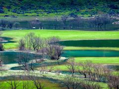-靖西鹅泉风景区