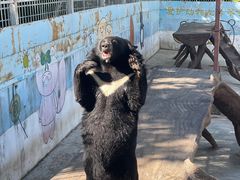 -青峰峡国家森林公园