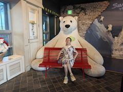 -济州岛泰迪熊博物馆