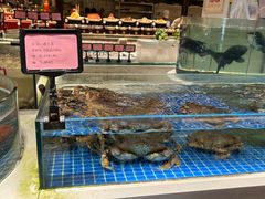 -渔人码头(中南店)