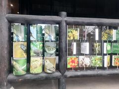 -白鹭湾湿地公园