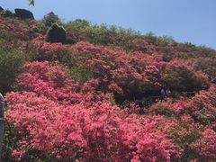 -木兰云雾山