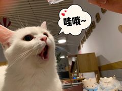 -有何Book(六堰体育馆店)