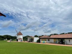-济州森林小火车生态公园