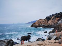 -广东惠东海龟国家级自然保护区