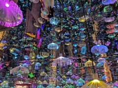 -成都梵高星空艺术馆(春熙路旗舰店)