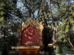 -瑞丽独树成林风景区