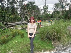 -新加坡飞禽公园