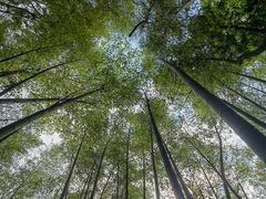 -鸡枕山