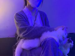 -极木²邸 人与宠物·互动社区