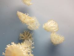 -常州海昌海洋探索馆