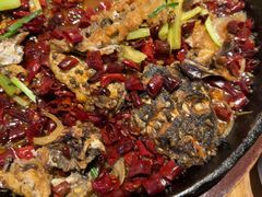 -老板恋上鱼(恒隆广场店)