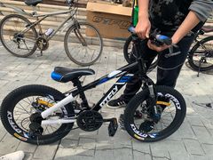 -道路口单车爱瓦士dahon大行