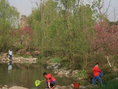 -秀丽东方