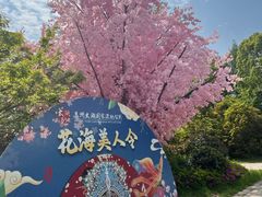 -苏州太湖国家湿地公园