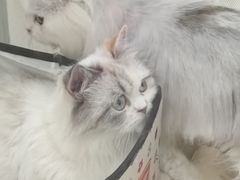 -阳光世纪奥特莱斯店