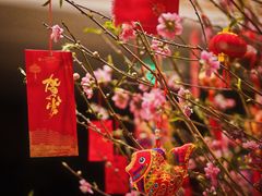 -深圳机场凯悦酒店