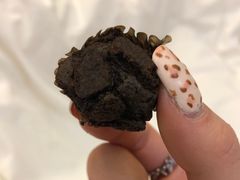 -好利来(荣民时代店)