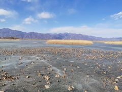 -野鸭湖国家湿地公园