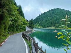 -武陵山森林公园