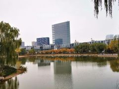 -大兴滨河森林公园