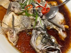 -丹江渔村(望京店)