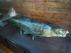 -南京金牛湖风景区