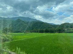 -石台牯牛降景区
