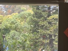 -金河半岛园林酒家(金融城店)