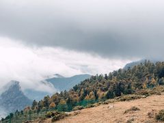-芦芽山旅游度假区