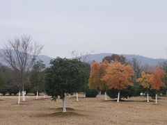 -钟山体育运动公园