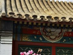 -海棠花溪(元大都城垣遗址公园)