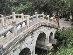 -莲池书院博物馆