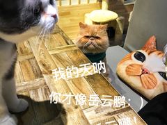 -小时光咖啡馆(开森度假森林店)