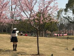 -新江湾城公园