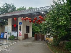 -桃花岛景观公园
