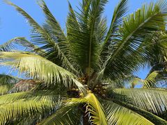 -白沙门生态公园