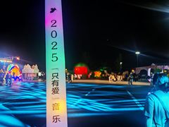 -荷兰花海
